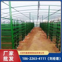 包塑棚廠家安裝 羊棚、雞棚、魚棚、蝦棚 農(nóng)用家用動物水產(chǎn)養(yǎng)殖棚