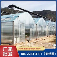 天津大棚廠家設計安裝農(nóng)用育苗棚 冬季日光暖棚 反季節(jié)種植大棚