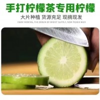 香水檸檬廣東專供奶茶店夜市地攤暴打檸檬茶專用無籽園新鮮現(xiàn)批