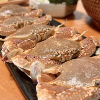 批發(fā)、代發(fā)東山島扁蟹肉蟹梭子蟹鮮活海捕冷凍廠家直供