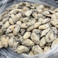 新鮮速凍生蠔海蠣子牡蠣當(dāng)天現(xiàn)剝生蠔肉 海蠣子肉牡蠣肉去殼海鮮