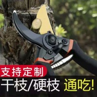 日本加厚SK5鋼樹枝剪刀強力剪粗枝園林剪外貿(mào)修剪果樹修枝 剪批發(fā)