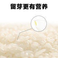東北老農(nóng) 當季稻香2號新米5kg10斤批發(fā)粳米香甜軟糯 真空包裝