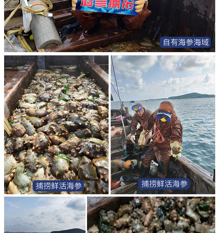 姚志強王靜靜+詳情首版三稿_08.jpg