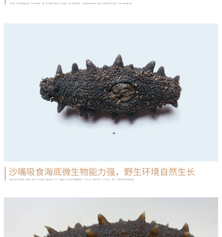 姚志強王靜靜+詳情套版5淡干海參鏈接3_15.jpg