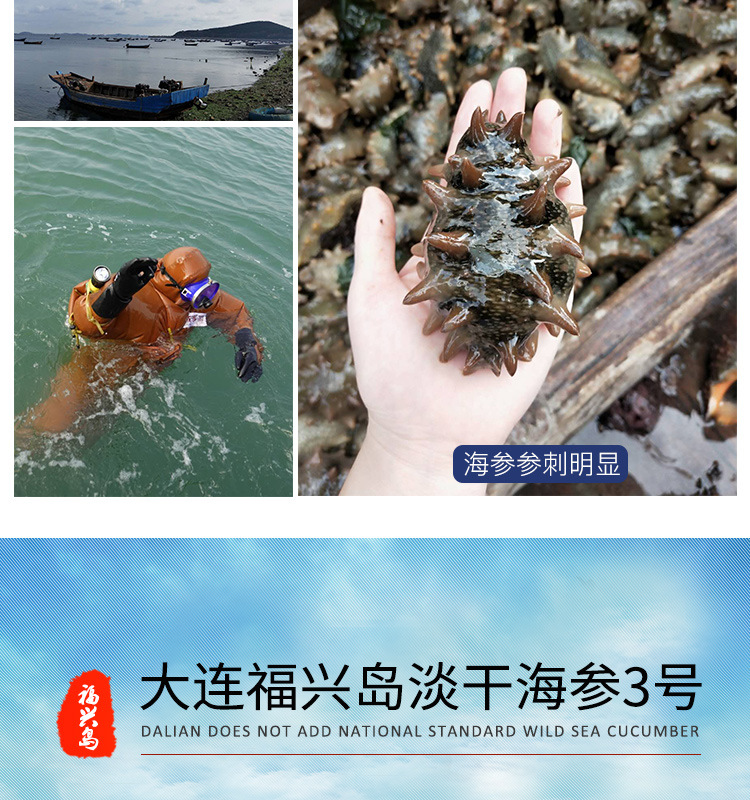 姚志強王靜靜+詳情套版5淡干海參鏈接3_09.jpg