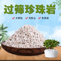 批發(fā)園藝大顆粒珍珠巖大包多肉基質(zhì)營養(yǎng)土無土栽培種植苗圃珍珠巖