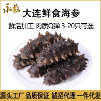 海參工廠鮮食即食海參大連遼參口感Q彈勁道泡發(fā)海參批發(fā)水產海參