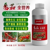 番茄專(zhuān)用藥葉面肥?；ū９倩ù俟虼笾霎a(chǎn)防裂防蟲(chóng)抗病