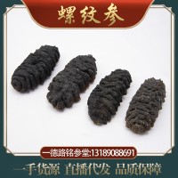批發(fā)深海淡干海參螺紋參水產海味干貨 黑刺參 龍紋參足干高泡發(fā)率
