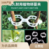 植物夾/吊秧夾子/塑料綁蔓夾/綁枝夾/吊蔓夾/扶蔓夾/藤蔓固定夾子