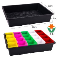 7.5cm高多肉育苗箱S5芽苗菜育苗盤盒多肉葉插塑料花盆種植收納盒