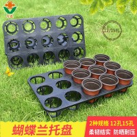 廠家批發(fā)育苗穴盤 蝴蝶蘭托盤 12孔15孔 花卉育苗盆托架