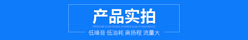 汽油機(jī)自吸水泵-詳情_10