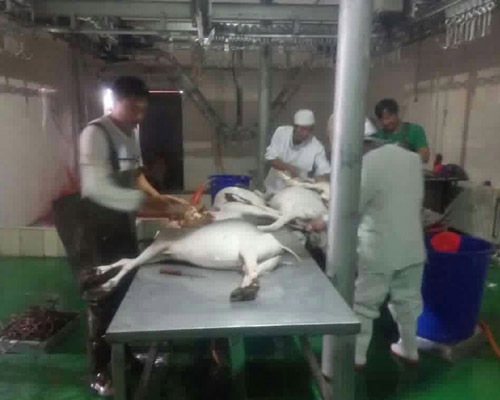 熟制帶皮羊肉500400-11