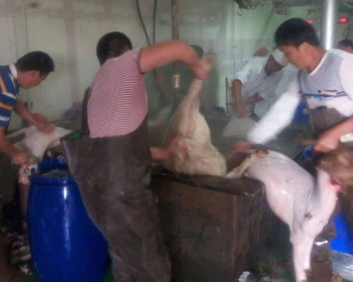 熟制帶皮羊肉500400-12