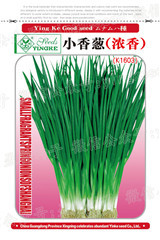 小香蔥