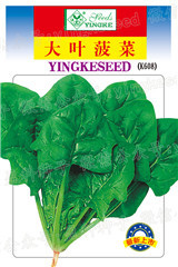 中-雙內(nèi)包：大葉菠菜