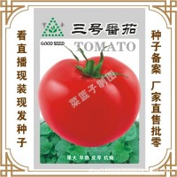 馮子龍種苗公司直售批零種植蔬菜種子3號(hào)番茄 種植 盆栽種植