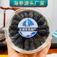 淡干小海參迷你淡干海參禮盒 速發(fā)海參肉質Q彈非即食海參批發(fā)代發(fā)