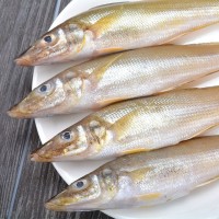 沙丁魚新鮮煙臺(tái)海捕深海魚冷凍速凍冰鮮海鮮水產(chǎn)燒烤食材一件代發(fā)