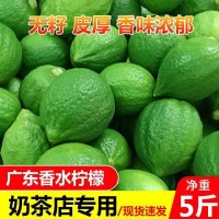 廣東香水檸檬無籽一級果產(chǎn)地直發(fā)新鮮水果奶茶店專用整箱批發(fā)