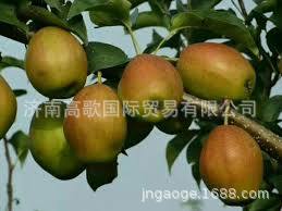 微信圖片_20190715093753