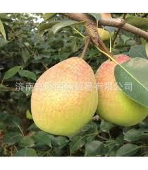 微信圖片_20190715093741