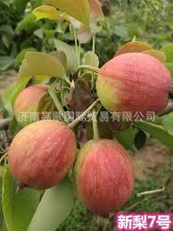 微信圖片_20190715093811