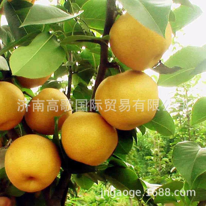 微信圖片_20190715094038