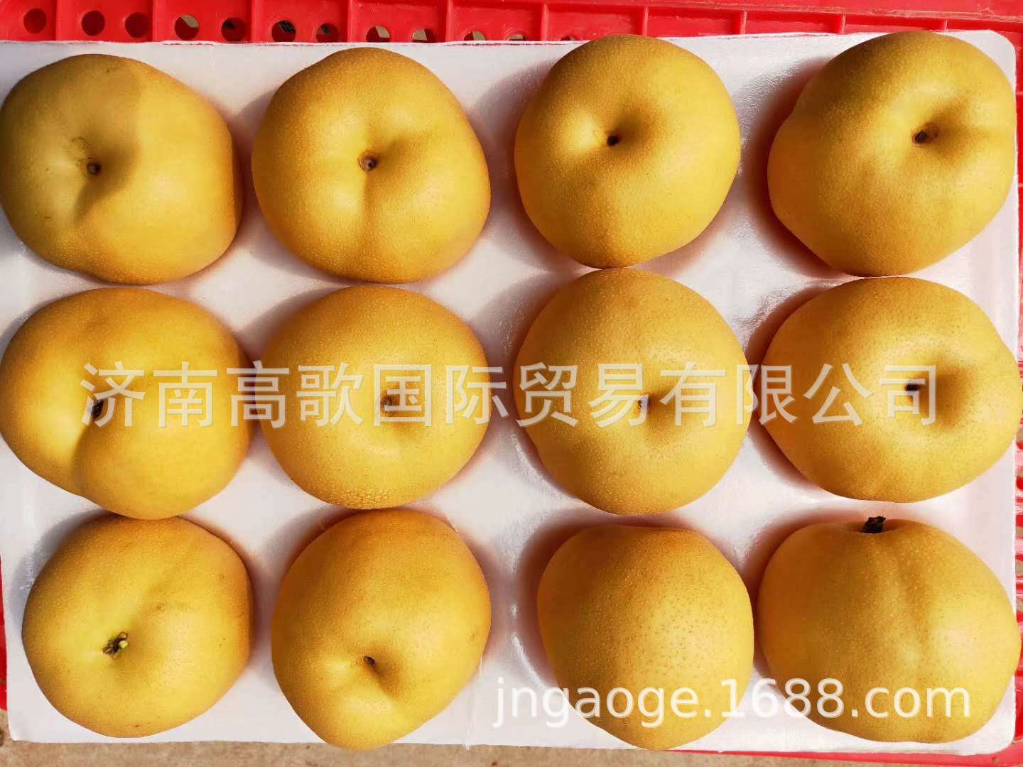 微信圖片_20190715094022