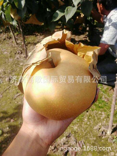 微信圖片_20190715093951