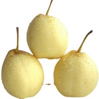豐水梨pear 皇冠梨 鴨梨 隨時(shí)詢價(jià) 歡迎大量選購(gòu) 價(jià)格美麗