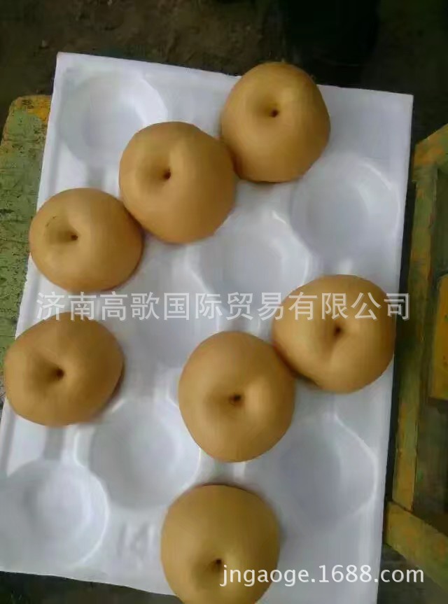 出口品質(zhì)豐水梨