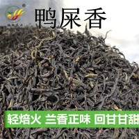 清香雪片鴨屎香單樅茶葉批發(fā)高山烏龍茶散裝鳳凰單叢映聰廠家直銷