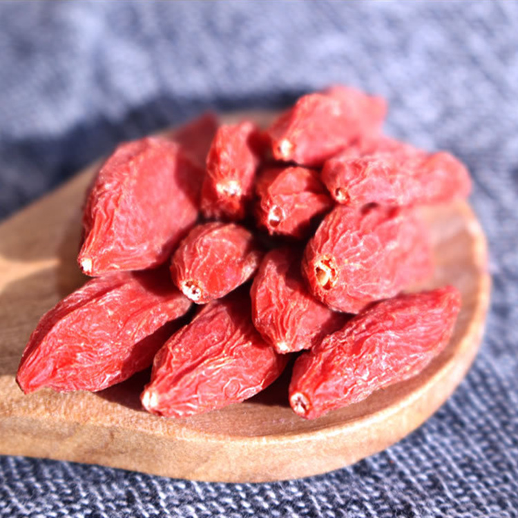 QQ截圖20190212201251_副本