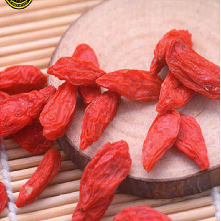 微信圖片_20190212201044_副本