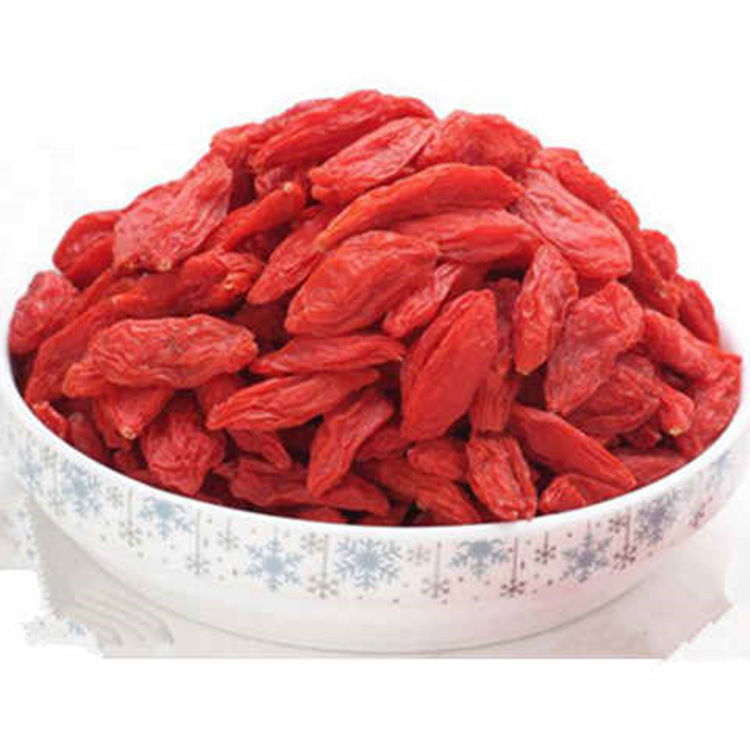 微信圖片_20190212201025_副本