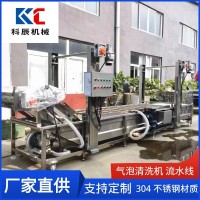 果蔬氣泡清洗機流水線 西紅柿辣椒氣泡清洗機 玉米清洗風干生產(chǎn)線