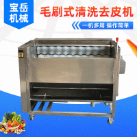 毛刷輥土豆芋頭清洗去皮機 青白蘿卜胡蘿卜馬蹄蓮藕毛刷清洗機