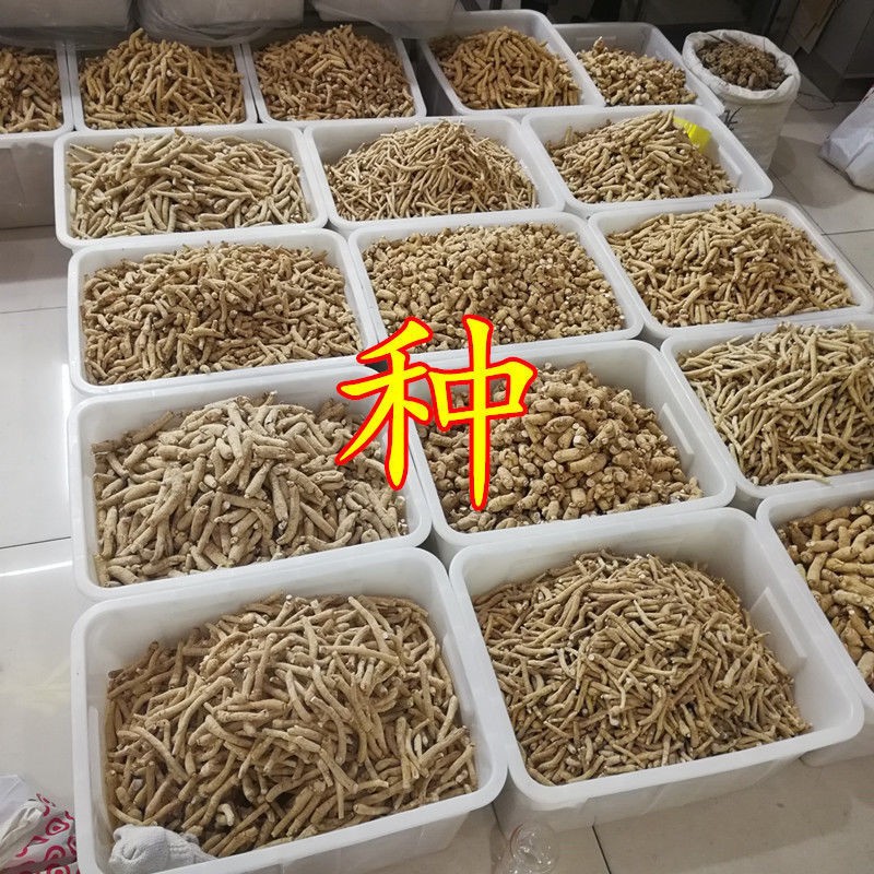 以參相許藥材經(jīng)營部_1633354753242