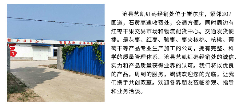 一級灰棗--內(nèi)頁_13