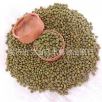 現(xiàn)貨供應綠豆 精品雜糧綠豆 超市農貿五谷雜糧綠豆批發(fā)
