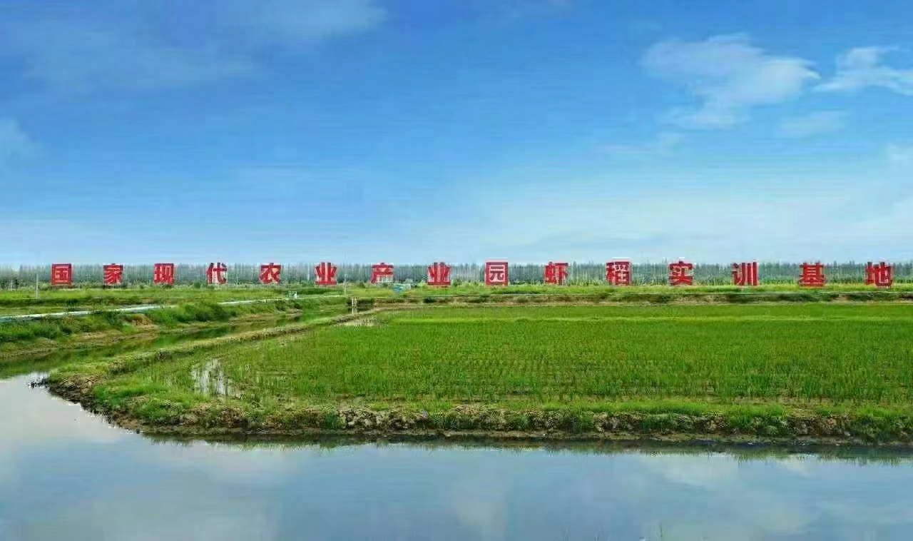 紅澳農(nóng)業(yè) (16).jpg