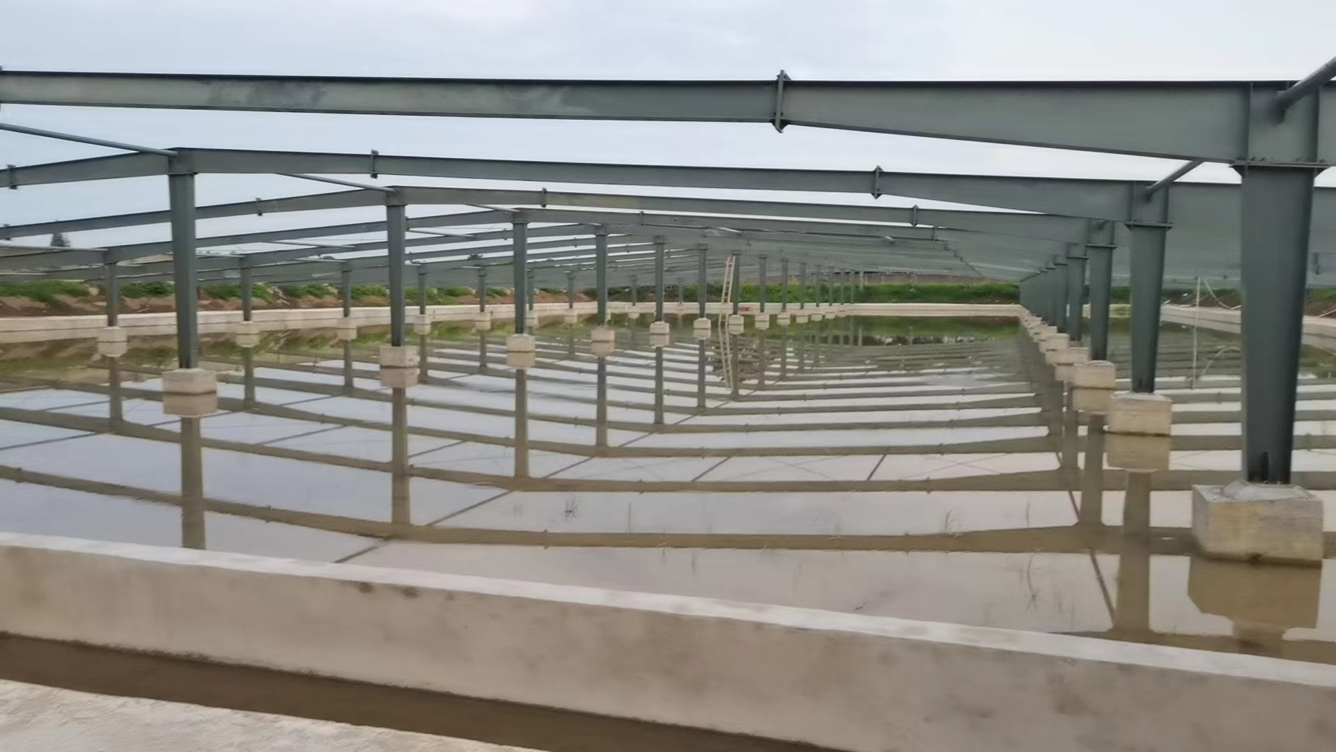 紅澳農(nóng)業(yè) (1).jpg