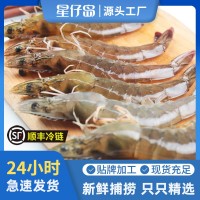 星仔島海水大蝦鮮活海鮮超大海捕對蝦商用整箱廠家現(xiàn)貨水產批發(fā)