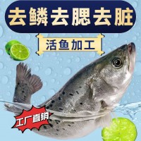 海鱸魚(yú)整條新鮮三去開(kāi)背寧德海鱸魚(yú)鮮活冷凍海捕魚(yú)類(lèi)海鮮燒烤魚(yú)批