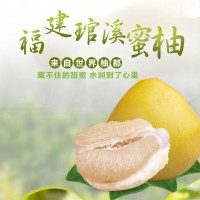 正宗福建平和琯溪老樹白柚白心蜜柚當(dāng)季新鮮孕婦水果脆甜多汁柚子