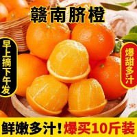 正宗江西贛南臍橙橙子10斤新鮮水果當(dāng)季整箱贛州產(chǎn)地直發(fā)擠橙