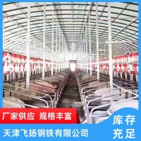 天津廠家直供養(yǎng)豬大棚 養(yǎng)雞大棚 養(yǎng)羊大棚 養(yǎng)牛大棚 養(yǎng)鴨大棚建設